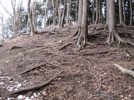 20160121hike (233)